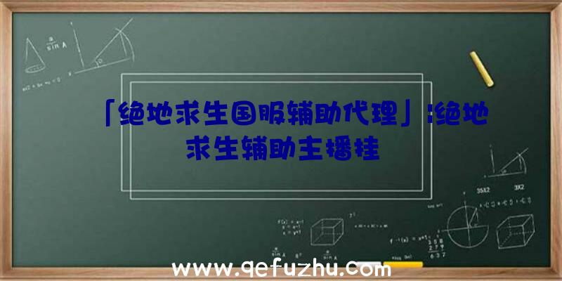 「绝地求生国服辅助代理」|绝地求生辅助主播挂